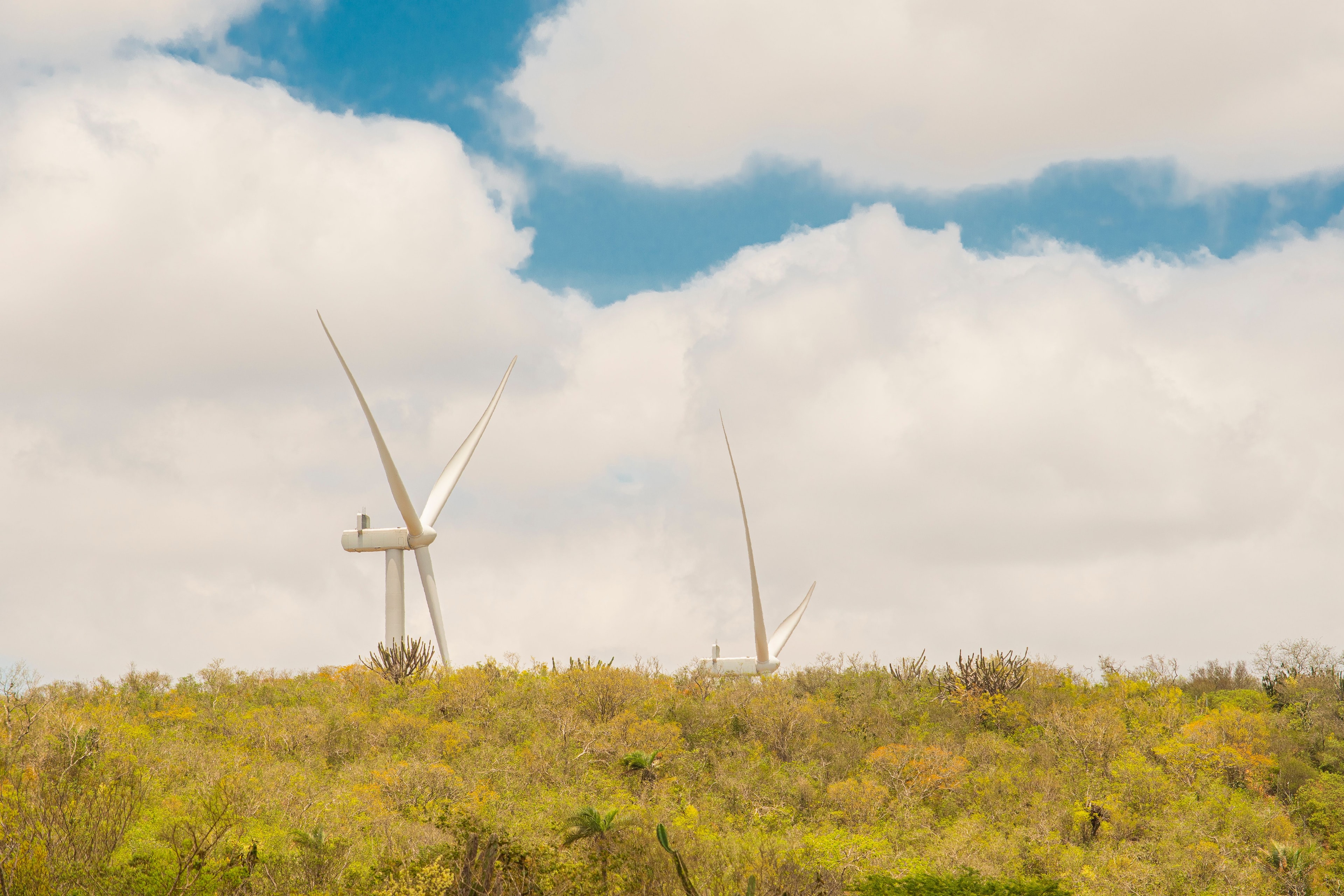 Casa dos Ventos e Mosaic ampliam parceria para autoprodução de energia renovável
